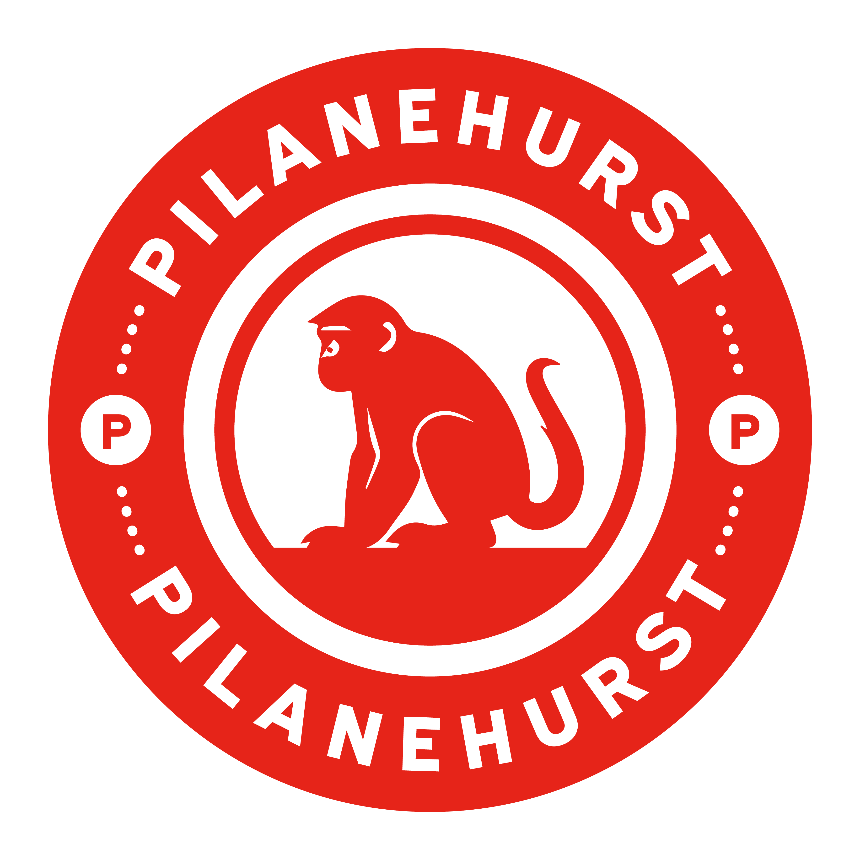 Pilanehurst